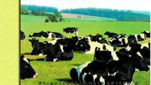 苏教版八年级生物下册(旧版)电子课本-苏教版初二生物下册(旧版)电子课本第21章 现代生物技术(第10页)