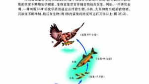 苏教版八年级生物下册(旧版)电子课本-苏教版初二生物下册(旧版)电子课本第一节 生态系统的组成(第88页)