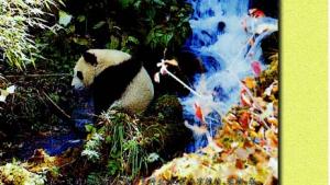 苏教版八年级生物下册(旧版)电子课本-苏教版初二生物下册(旧版)电子课本第25章 生态系统(第85页)