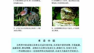 苏教版八年级生物上册(旧版)电子课本-苏教版初二生物上册(旧版)电子课本第二节 动物行为的生理基础(第68页)