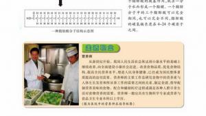 苏教版高一生物必修1（分子与细胞）电子课本核酸的结构和功能(第26页)