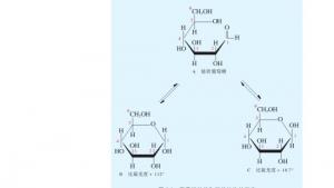 苏教版高三化学-有机化学基础电子课本第一单元 糖类 油脂(第92页)
