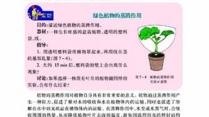 苏教版七年级生物上册(旧版)电子课本-苏教版初一生物上册(旧版)电子课本第二节 绿色植物与生物圈的物质循环(第104页)