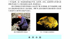 苏教版八年级生物下册(旧版)电子课本-苏教版初二生物下册(旧版)电子课本第四节 人类的起源和进化(第83页)