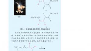 苏教版高三化学-有机化学基础电子课本第一单元 有机化合物的结构(第27页)