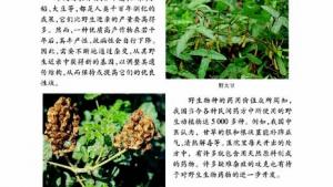 苏教版八年级生物下册(旧版)电子课本-苏教版初二生物下册(旧版)电子课本第一节 生物多样性(第57页)