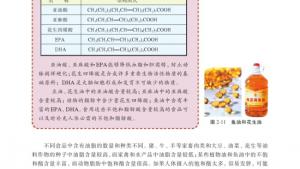 苏教版高二化学与生活电子课本第二单元 提供能量与营养的食物(第53页)