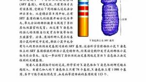 苏教版八年级生物上册(旧版)电子课本-苏教版初二生物上册(旧版)电子课本第三节 人的性别决定(第39页)