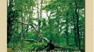 苏教版高二生物必修3（稳定与环境）电子课本第三章 生物群落的演替(第52页)