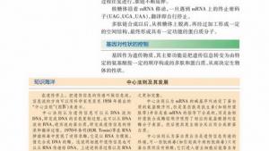 苏教版高一生物必修2（遗传与进化）电子课本基因对性状的控制(第72页)