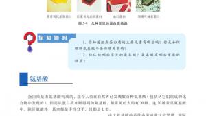 苏教版高三化学-有机化学基础电子课本第二单元 氨基酸 蛋白(第100页)