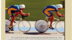 苏教版高二生物必修3（稳定与环境）电子课本第二章 生物个体的稳态(第11页)