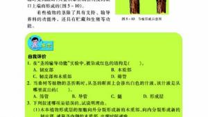 苏教版七年级生物上册(旧版)电子课本-苏教版初一生物上册(旧版)电子课本第四节 植物茎的输导功能(第71页)