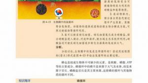 苏教版高二生物必修3（稳定与环境）电子课本生态系统中的物质循环(第86页)