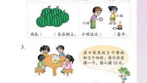 苏教版二年级数学上册(旧版)电子课本十一 统计与可能性(第101页)