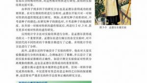 苏教版高一生物必修2（遗传与进化）电子课本基因的分离定律的应用(第31页)