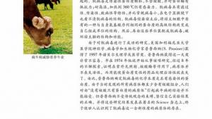 苏教版高一生物必修2（遗传与进化）电子课本提取DNA(第58页)