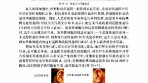 苏教版八年级生物上册(旧版)电子课本-苏教版初二生物上册(旧版)电子课本第二节 人的性状和遗传(第34页)